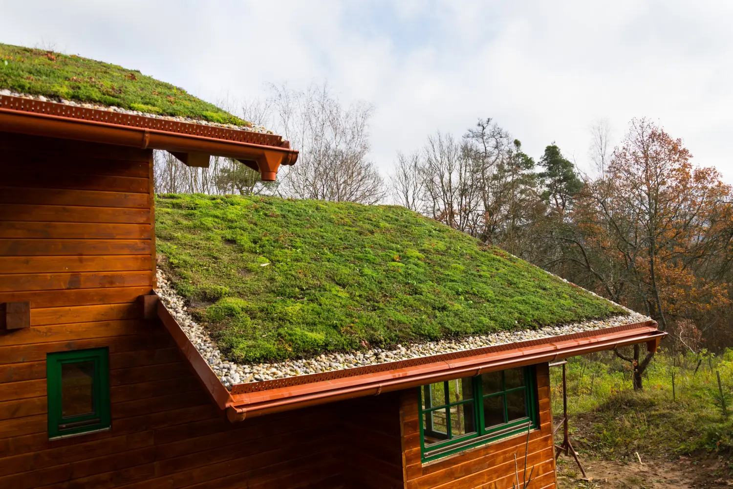 Holzhaus mit extensivem, begrüntem Dach und Pflanzenbedeckung