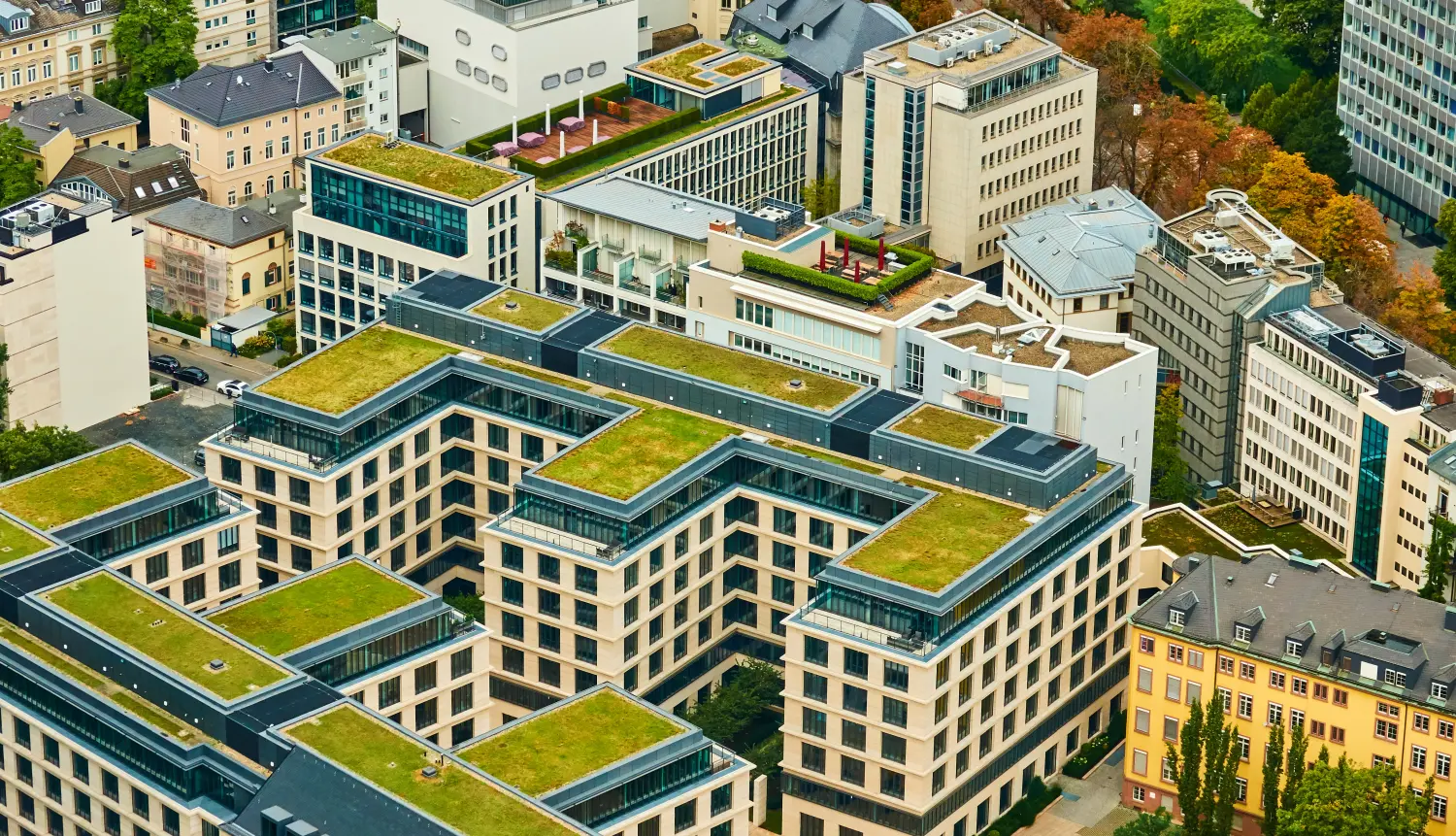 Dachbau in Berlin